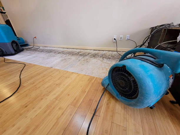 Professional Structural Drying technician working in Wonder Lake, IL